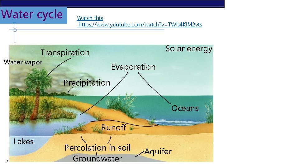 Water cycle Watch this https: //www. youtube. com/watch? v=TWb 4 Kl. M 2 vts