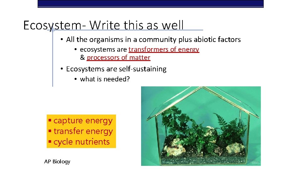 Ecosystem- Write this as well • All the organisms in a community plus abiotic