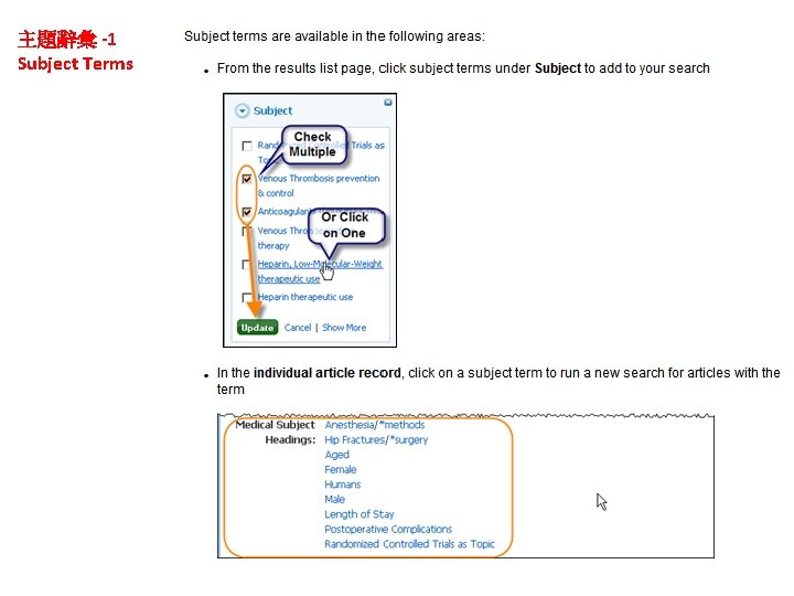 主題辭彙 -1 Subject Terms 