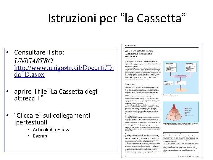 Istruzioni per “la Cassetta” • Consultare il sito: UNIGASTRO http: //www. unigastro. it/Docenti/Di da_D.