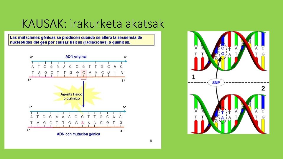 KAUSAK: irakurketa akatsak 