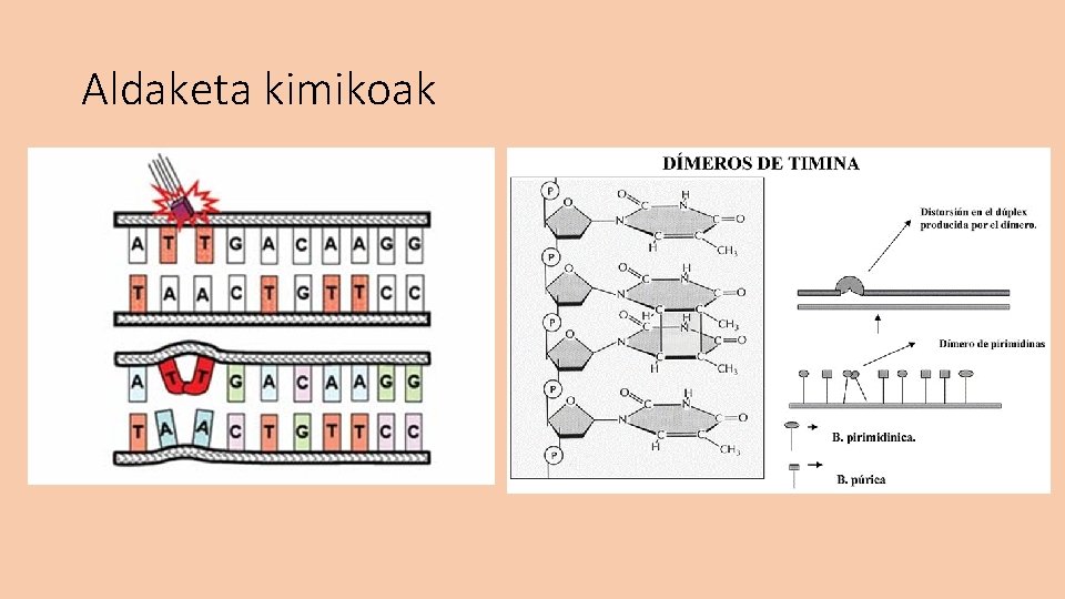 Aldaketa kimikoak 