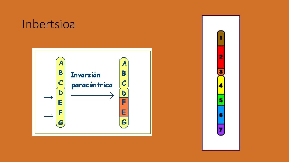 Inbertsioa 