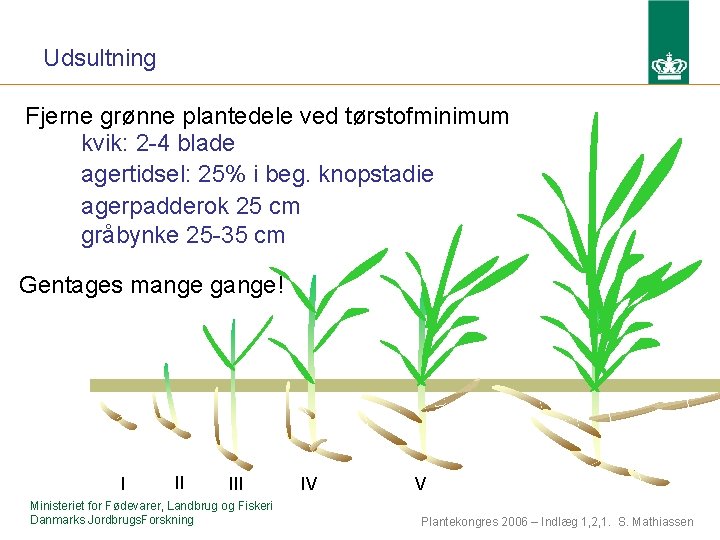 Udsultning Fjerne grønne plantedele ved tørstofminimum kvik: 2 -4 blade agertidsel: 25% i beg.