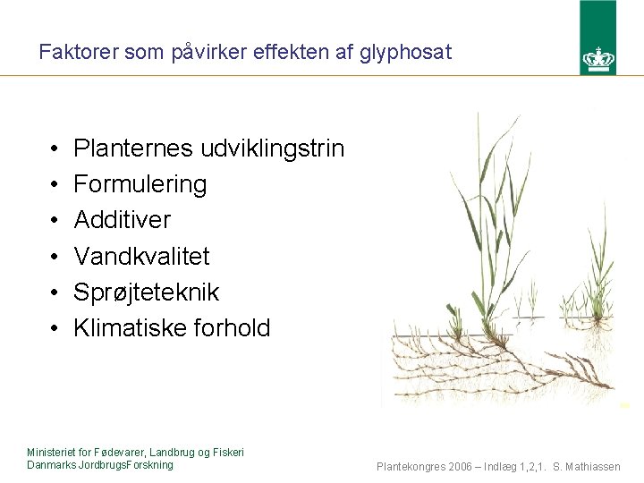 Faktorer som påvirker effekten af glyphosat • • • Planternes udviklingstrin Formulering Additiver Vandkvalitet