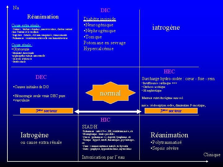 Na Réanimation Cause extra rénale : • Cutanée : brûlures étendues, mucoviscidose, chaleur surtout