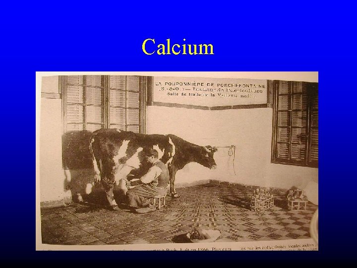 Calcium 