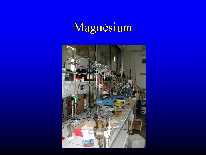 Magnésium 