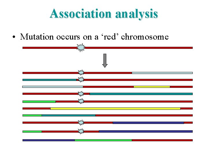 Association analysis • Mutation occurs on a ‘red’ chromosome 