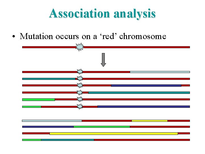 Association analysis • Mutation occurs on a ‘red’ chromosome 