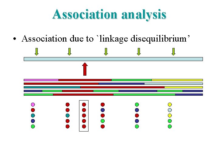 Association analysis • Association due to `linkage disequilibrium’ 