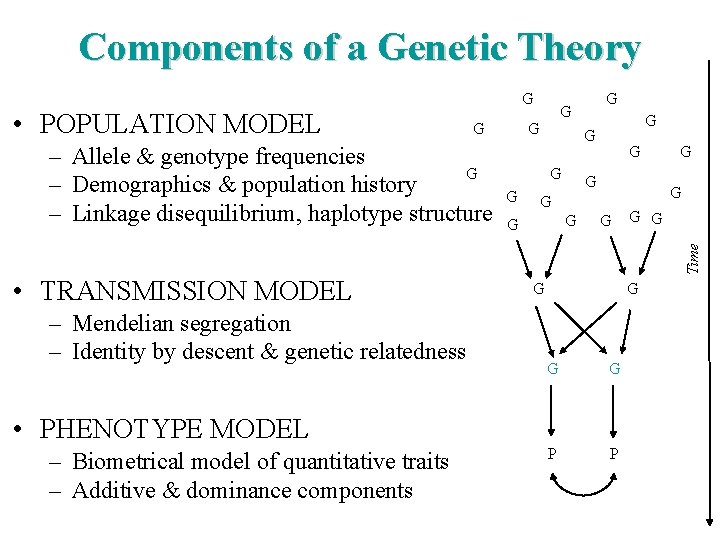 Components of a Genetic Theory G – Allele & genotype frequencies G – Demographics
