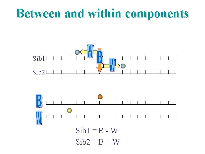Between and within components Sib 1 Sib 2 Sib 1 = B - W