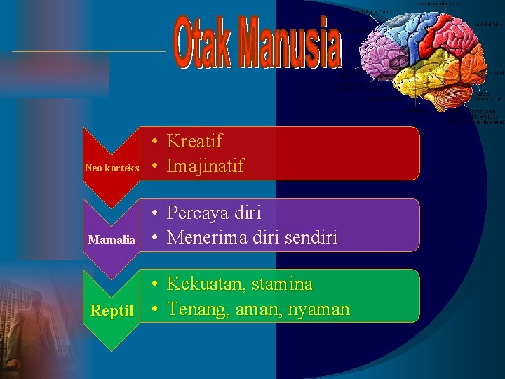 Neo korteks • Kreatif • Imajinatif Mamalia • • Percaya diri Menerima diri sendiri