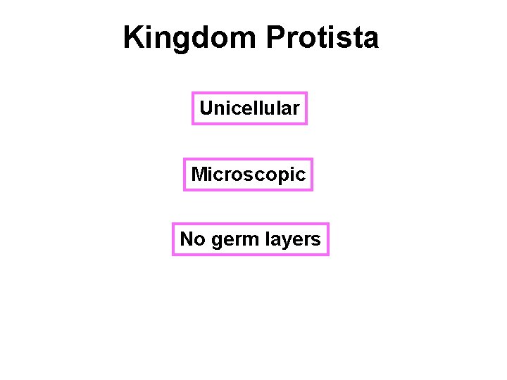 Kingdom Protista Unicellular Microscopic No germ layers 