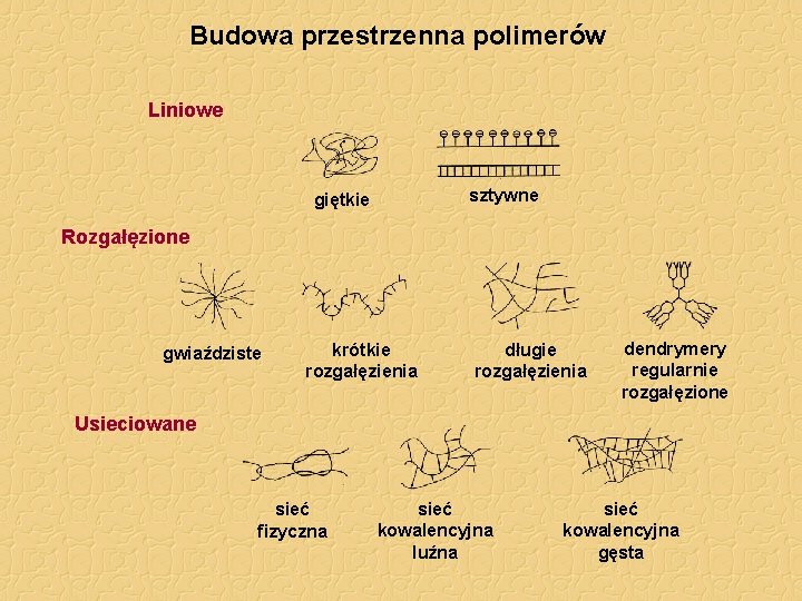 Budowa przestrzenna polimerów Liniowe sztywne giętkie Rozgałęzione gwiaździste krótkie rozgałęzienia długie rozgałęzienia dendrymery regularnie