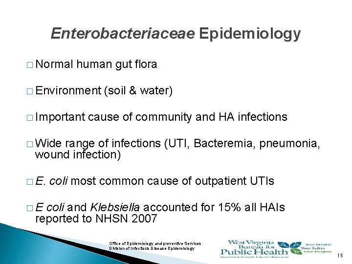 Enterobacteriaceae Epidemiology � Normal human gut flora � Environment � Important (soil & water)