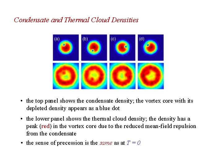 Condensate and Thermal Cloud Densities • the top panel shows the condensate density; the