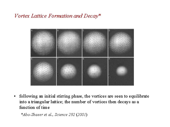 Vortex Lattice Formation and Decay* • following an initial stirring phase, the vortices are