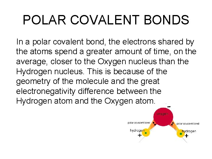 POLAR COVALENT BONDS In a polar covalent bond, the electrons shared by the atoms