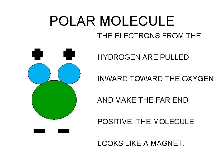 POLAR MOLECULE THE ELECTRONS FROM THE HYDROGEN ARE PULLED INWARD TOWARD THE OXYGEN AND
