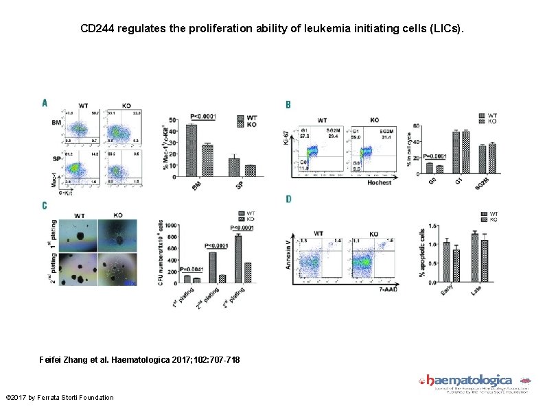 CD 244 regulates the proliferation ability of leukemia initiating cells (LICs). Feifei Zhang et