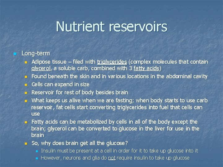 Nutrient reservoirs n Long-term n n n n Adipose tissue – filed with triglycerides