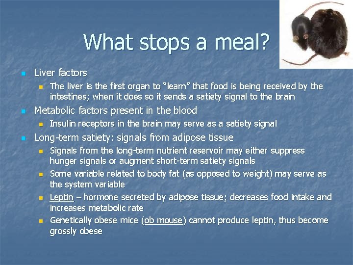 What stops a meal? n Liver factors n n Metabolic factors present in the