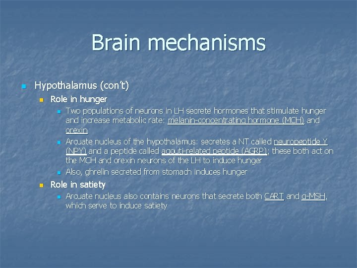 Brain mechanisms n Hypothalamus (con’t) n Role in hunger n n Two populations of