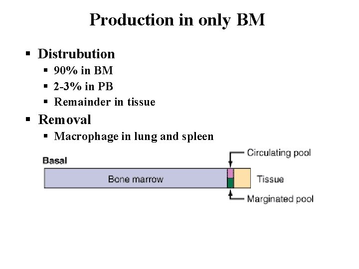 Production in only BM § Distrubution § 90% in BM § 2 -3% in
