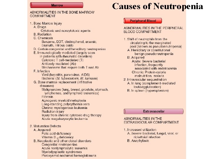 Causes of Neutropenia 