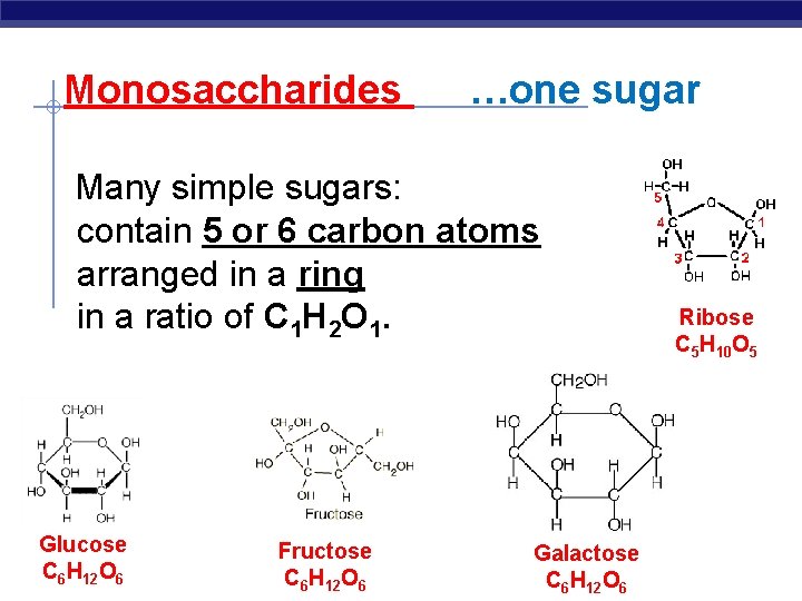 Monosaccharides …one sugar Many simple sugars: contain 5 or 6 carbon atoms arranged in