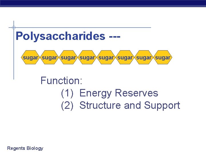 Polysaccharides --sugar sugar Function: (1) Energy Reserves (2) Structure and Support Regents Biology 