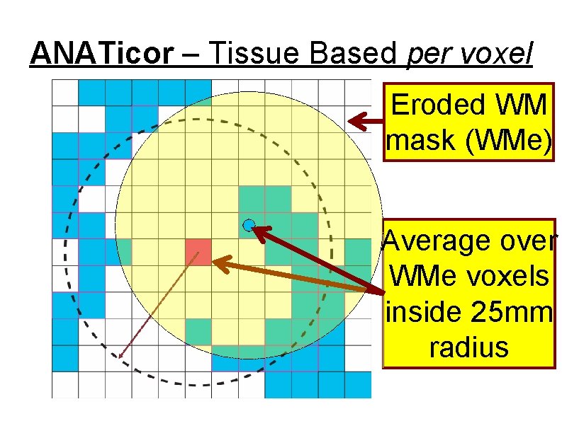 ANATicor – Tissue Based per voxel Eroded WM mask (WMe) Average over WMe voxels