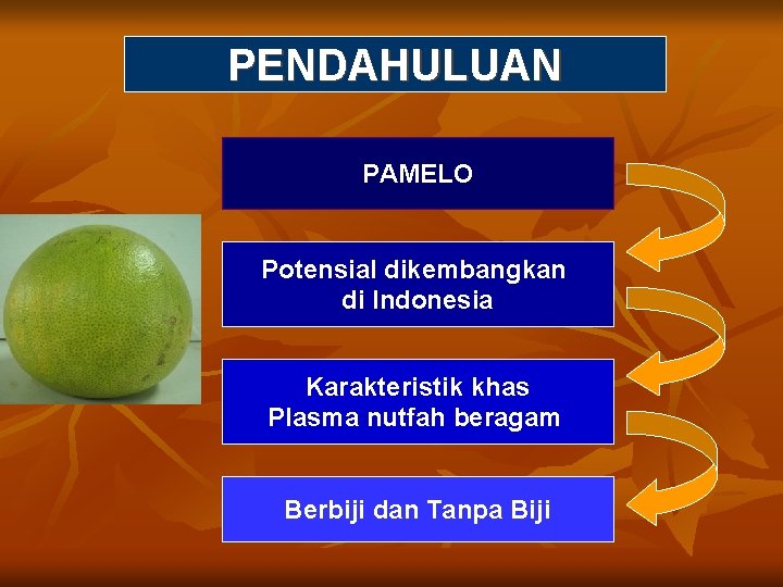 PENDAHULUAN PAMELO Potensial dikembangkan di Indonesia Karakteristik khas Plasma nutfah beragam Berbiji dan Tanpa