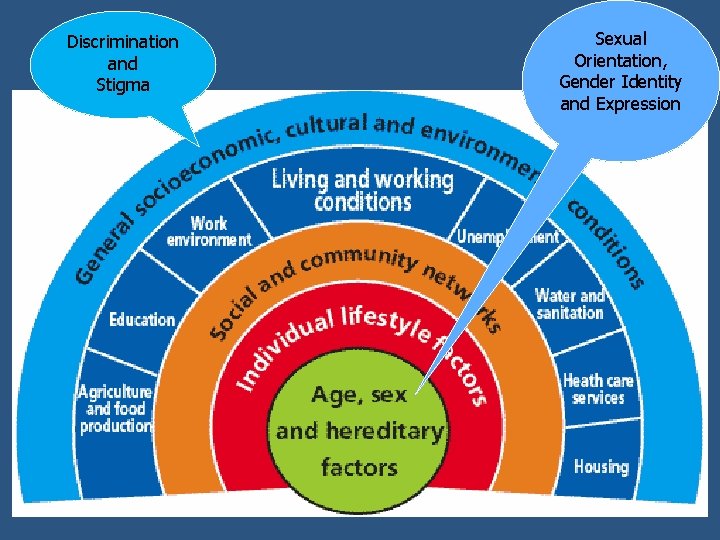 Discrimination and Stigma Sexual Orientation, Gender Identity and Expression 