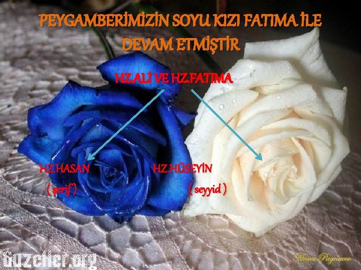 PEYGAMBERİMİZİN SOYU KIZI FATIMA İLE DEVAM ETMİŞTİR HZ. ALİ VE HZ. FATIMA HZ. HASAN