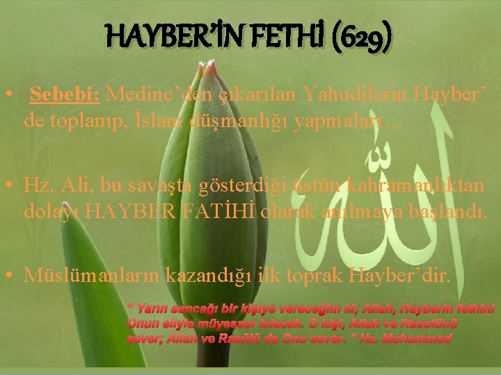 HAYBER’İN FETHİ (629) • Sebebi: Medine’den çıkarılan Yahudilerin Hayber’ de toplanıp, İslam düşmanlığı yapmaları…