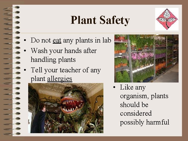 Plant Safety • Do not eat any plants in lab • Wash your hands