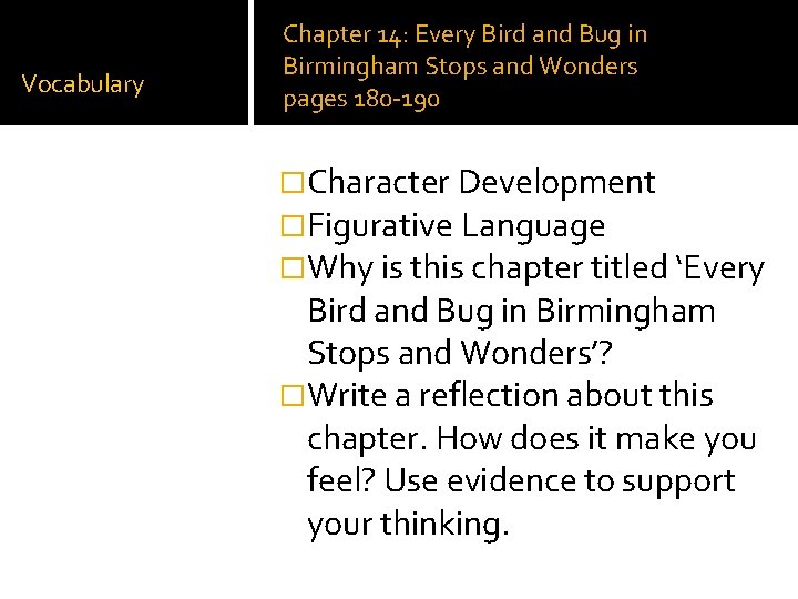 Vocabulary Chapter 14: Every Bird and Bug in Birmingham Stops and Wonders pages 180