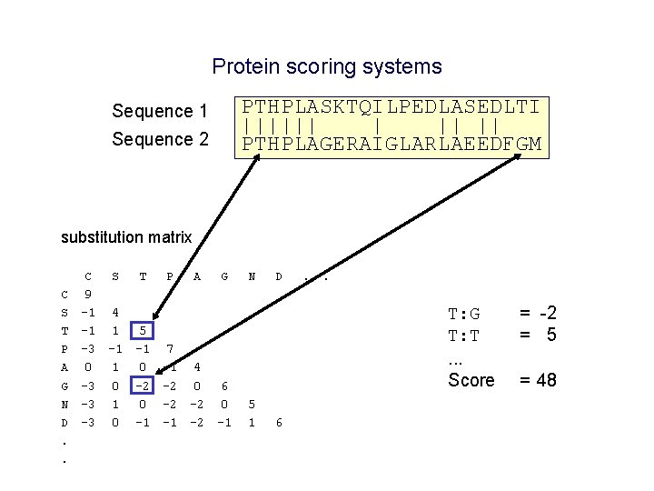 Protein scoring systems Sequence 1 Sequence 2 PTHPLASKTQILPEDLASEDLTI |||||| || PTHPLAGERAIGLARLAEEDFGM substitution matrix C