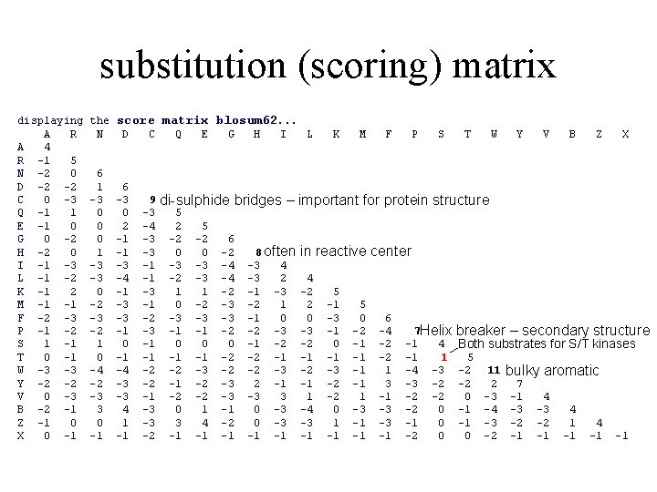 substitution (scoring) matrix displaying A R A 4 R -1 5 N -2 0