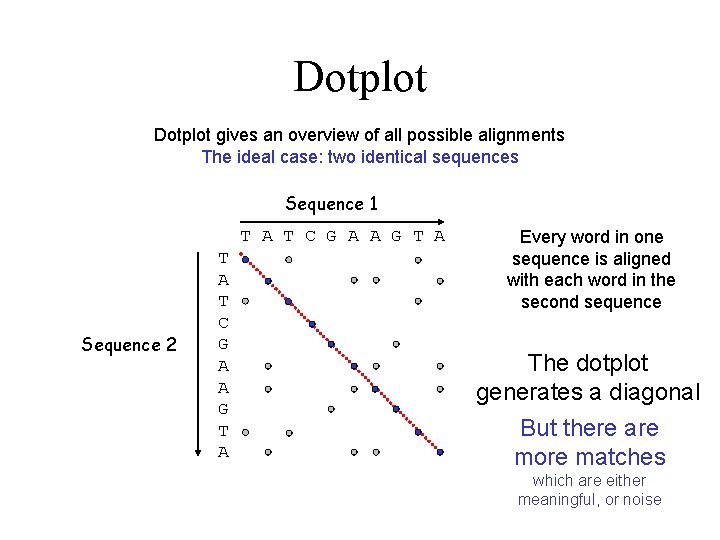 Dotplot gives an overview of all possible alignments The ideal case: two identical sequences