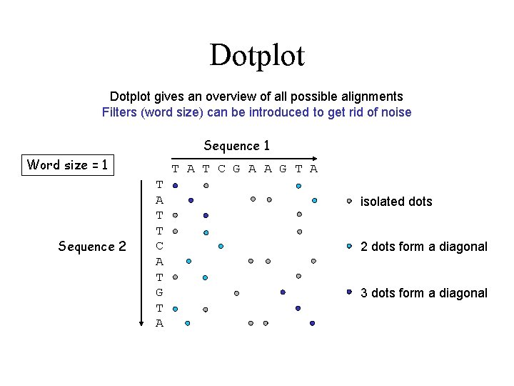 Dotplot gives an overview of all possible alignments Filters (word size) can be introduced
