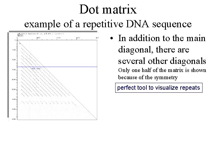 Dot matrix example of a repetitive DNA sequence • In addition to the main