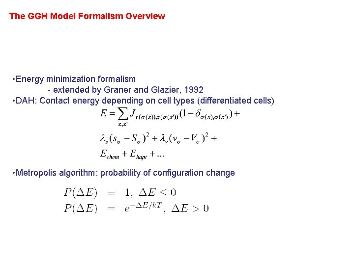 The GGH Model Formalism Overview • Energy minimization formalism - extended by Graner and