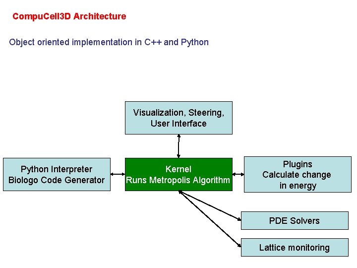 Compu. Cell 3 D Architecture Object oriented implementation in C++ and Python Visualization, Steering,