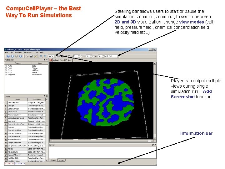 Compu. Cell. Player – the Best Way To Run Simulations Steering bar allows users