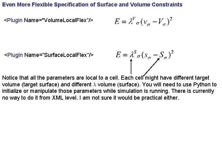 Even More Flexible Specification of Surface and Volume Constraints <Plugin Name="Volume. Local. Flex“/> <Plugin