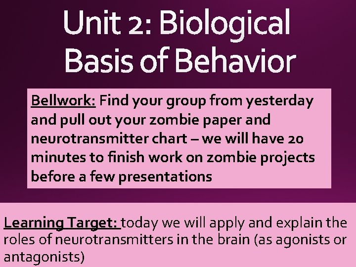 Unit 2: Biological Basis of Behavior Bellwork: Find your group from yesterday and pull